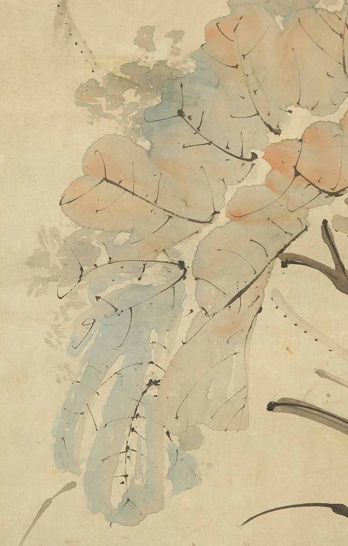 Takahashi Sohei (1802-1833) Japanese hanging scroll / Lotus and Heron in Water with Box - 10