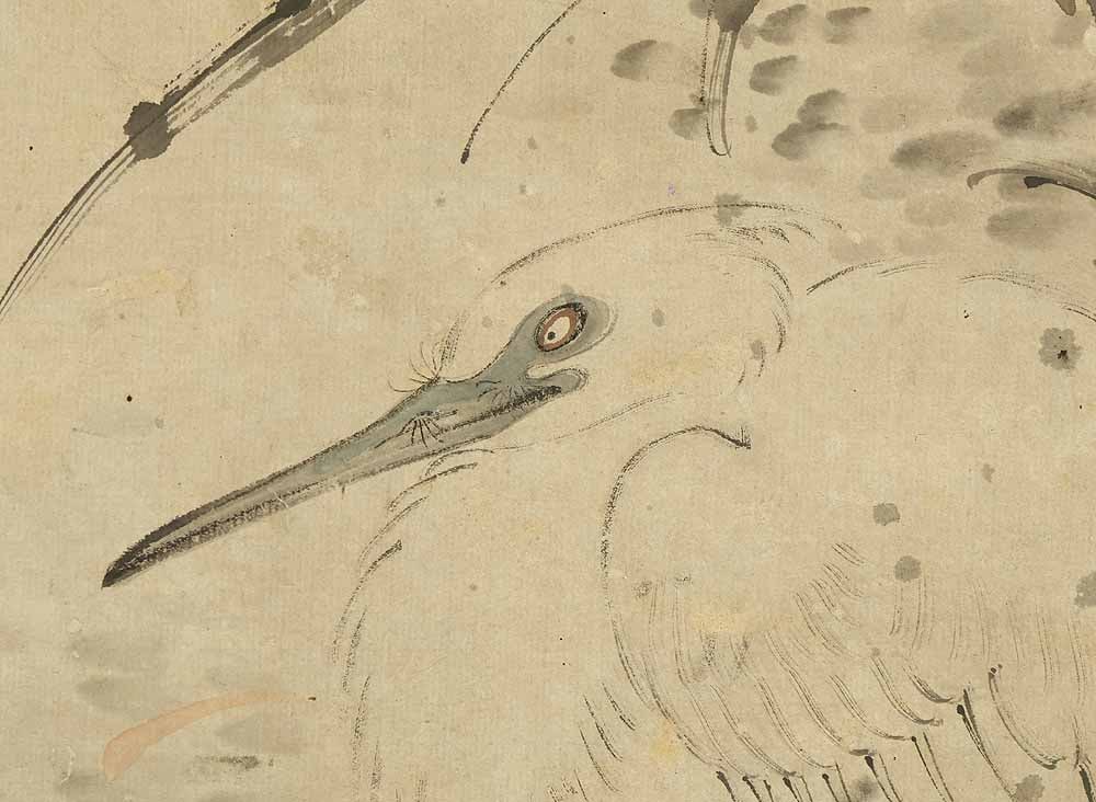 Takahashi Sohei (1802-1833) Japanese hanging scroll / Lotus and Heron in Water with Box - 14