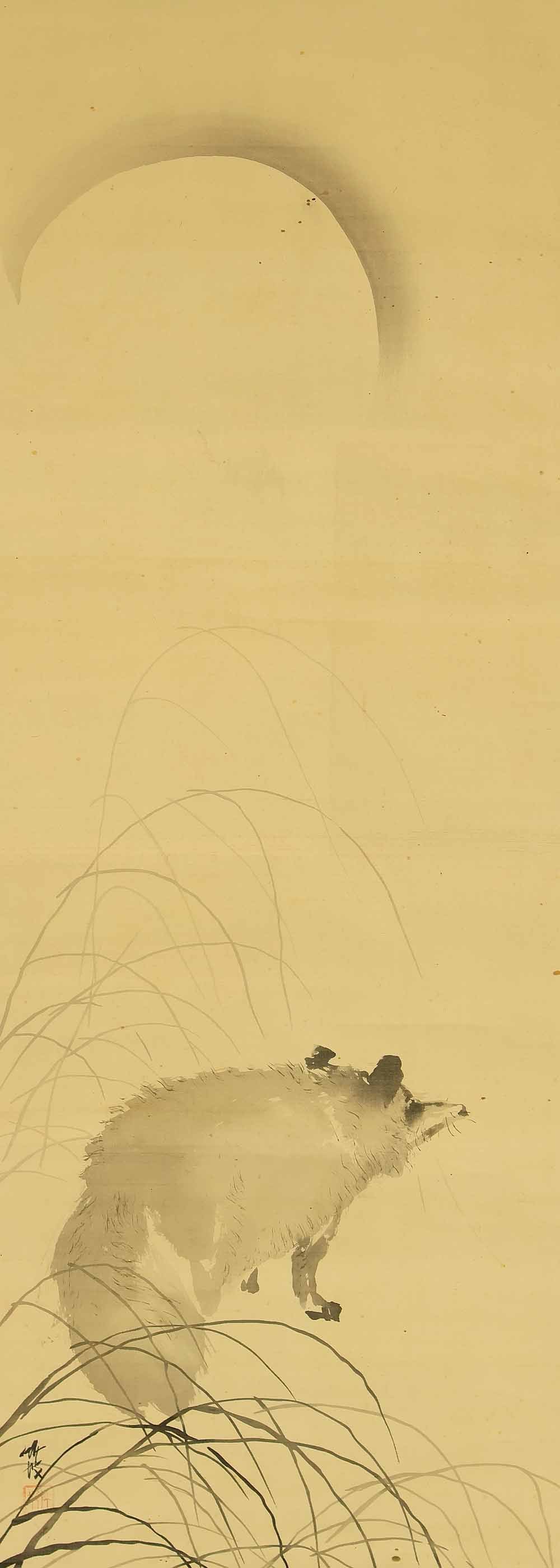 Otake Chikuha (1878-1936) Japanese hanging scroll / Raccoon Dog under Moon with Appraised Box - 4