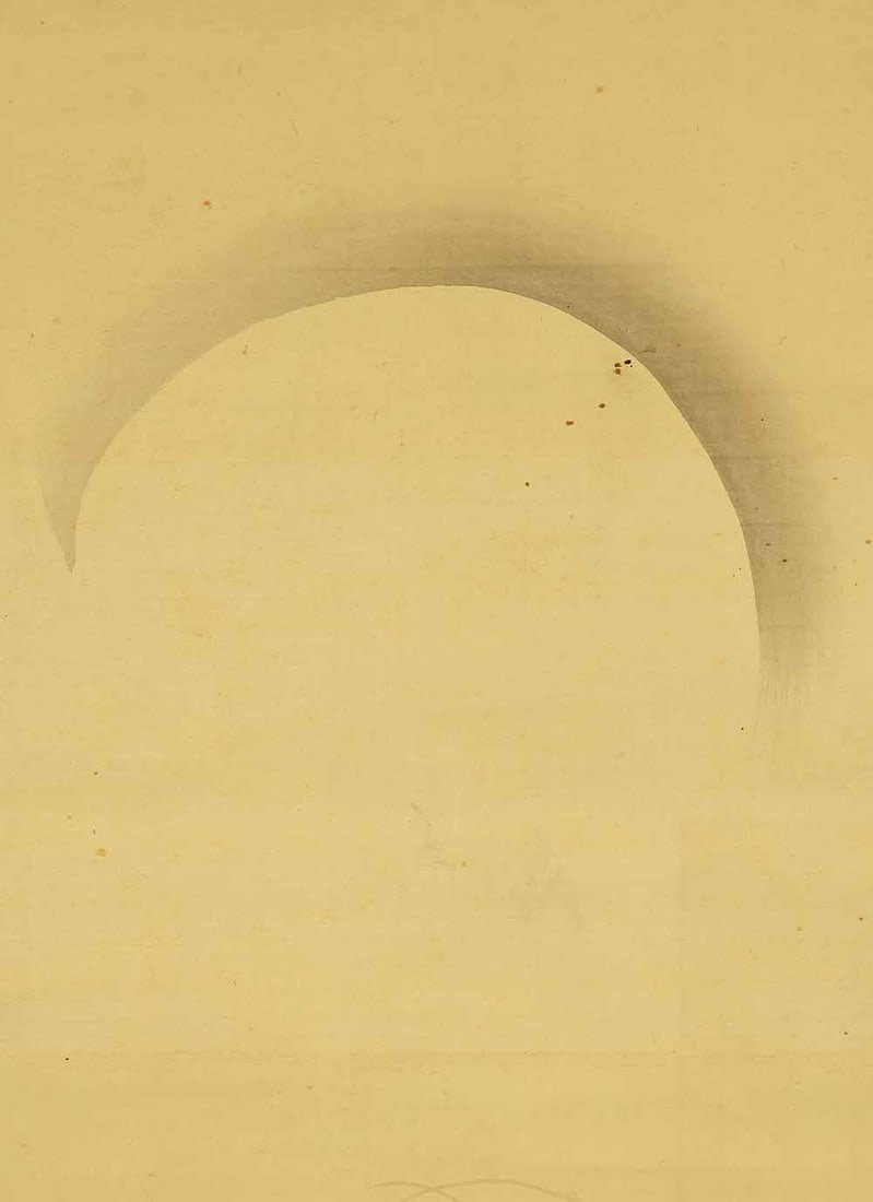 Otake Chikuha (1878-1936) Japanese hanging scroll / Raccoon Dog under Moon with Appraised Box - 5