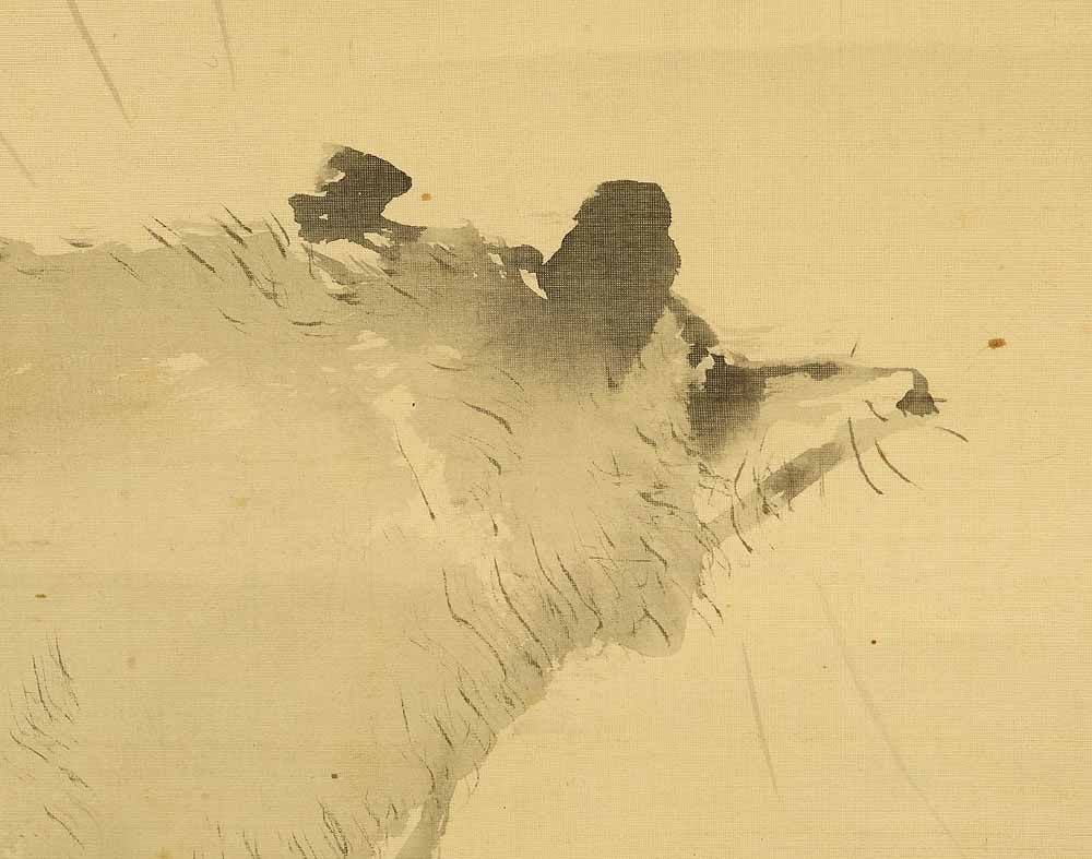 Otake Chikuha (1878-1936) Japanese hanging scroll / Raccoon Dog under Moon with Appraised Box - 8