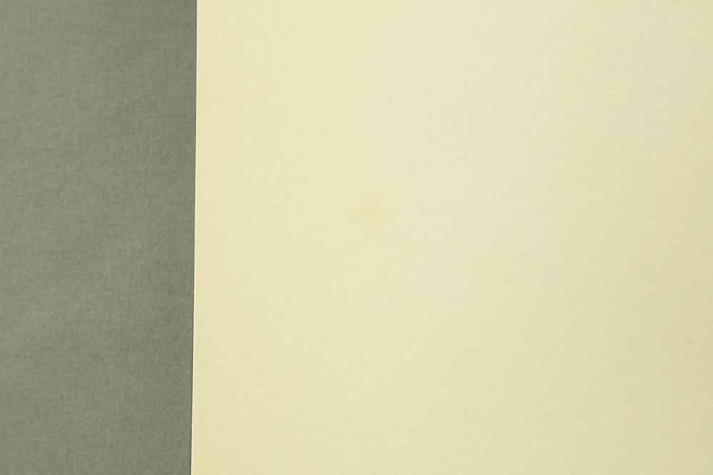 Mishima Go (1924-1988) Photolithography From "Mishima Go gashu Wakamono" - 1972 - 14