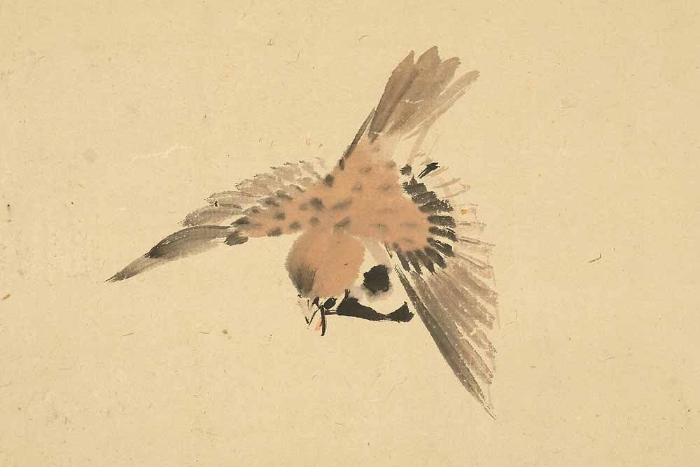 Imao Keinen (1845-1924) Japanese hanging scroll / Flying Four Sparrows, Drying Rice on Rack with Box - 6