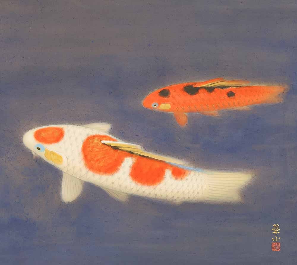 Shimazu Kazan (b1890) Japanese hanging scroll / Nishikigoi (Colored Carp) Swimming Two Carp - 4