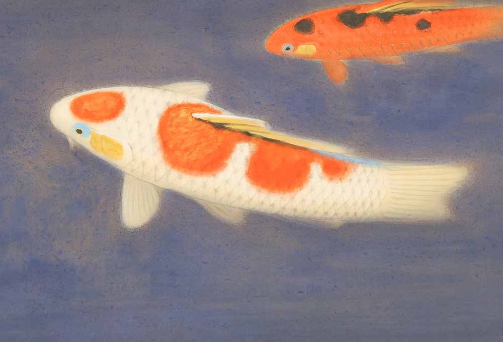Shimazu Kazan (b1890) Japanese hanging scroll / Nishikigoi (Colored Carp) Swimming Two Carp - 8