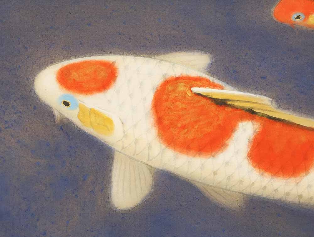 Shimazu Kazan (b1890) Japanese hanging scroll / Nishikigoi (Colored Carp) Swimming Two Carp - 9
