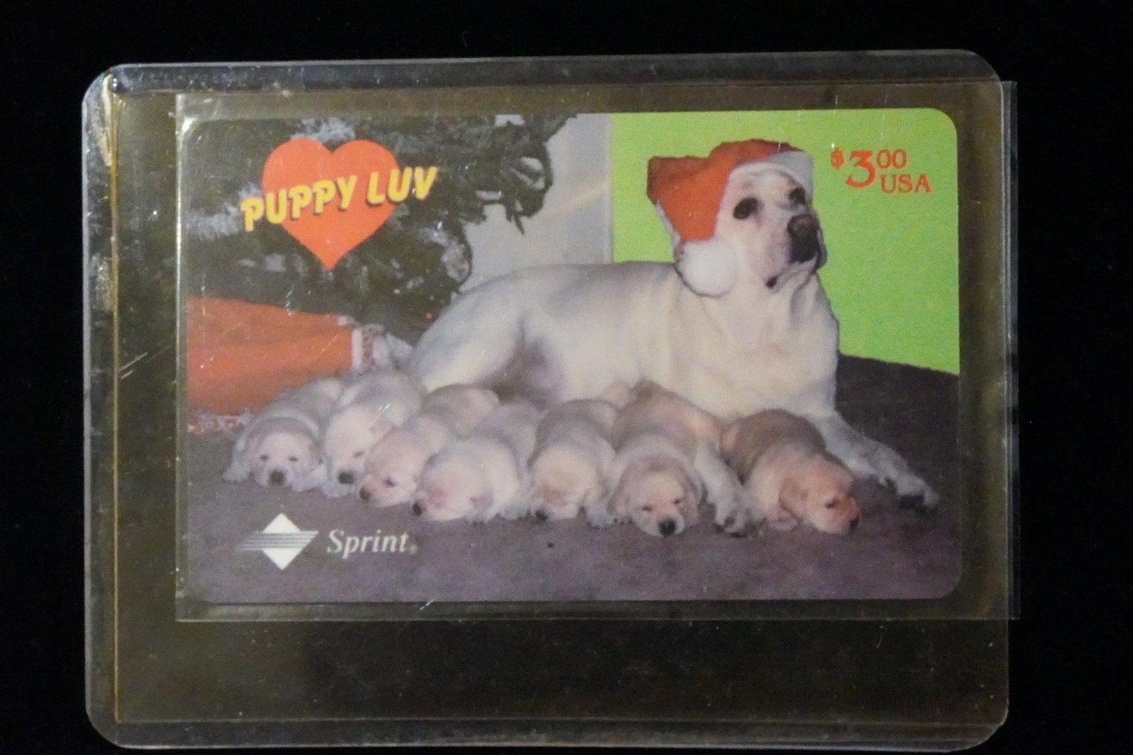 SPRINT PUPPY LUV SERIES #2 "SIR WINSTON" YELLOW LABRADOR $3 PHONE CARD TEST CARD