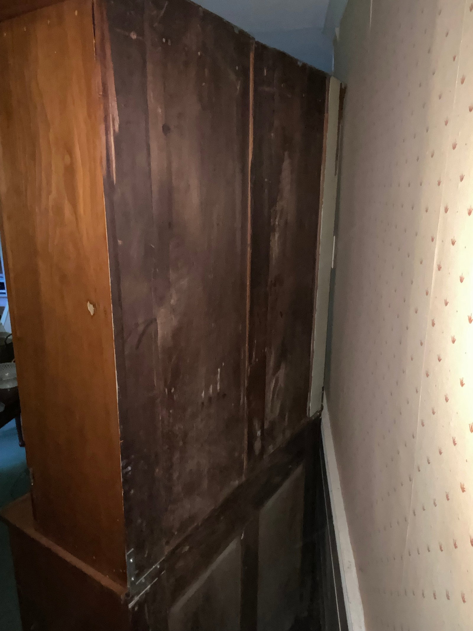 Step-Back Cupboard - 4