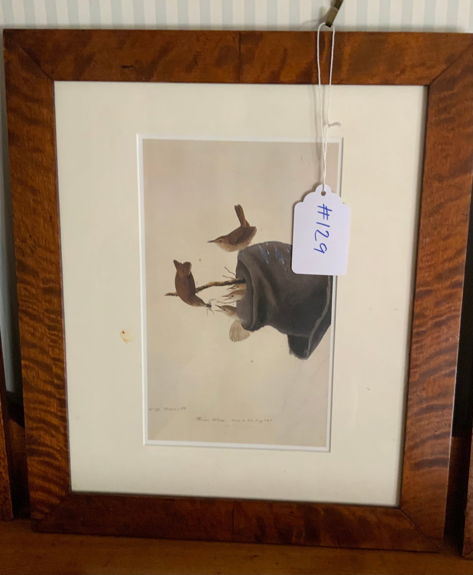 Audubon Bird Prints - 2