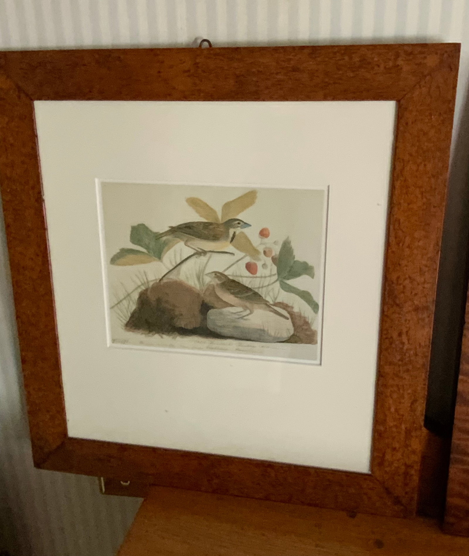 Audubon Bird Prints - 3