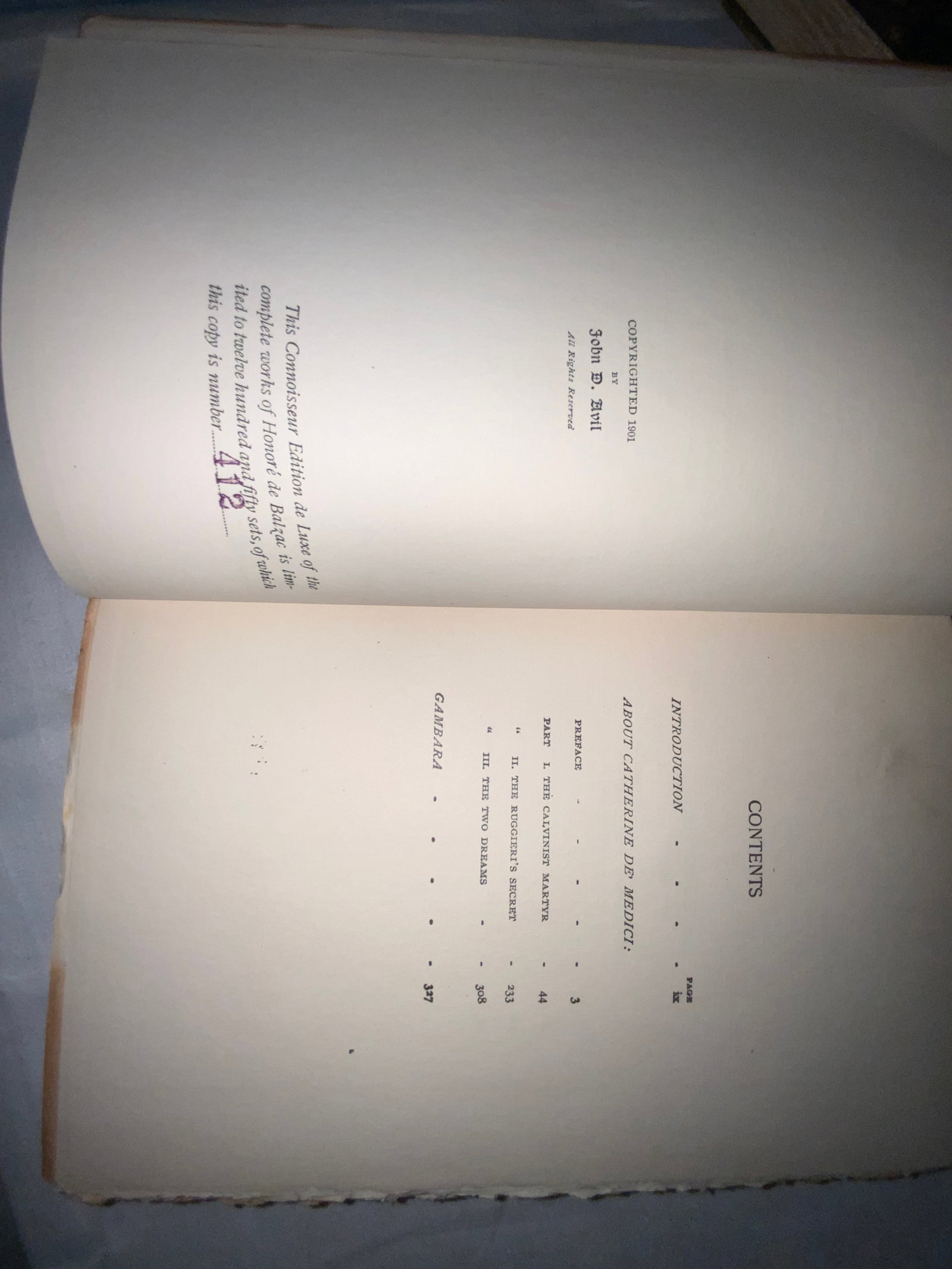 Leather Books - 10