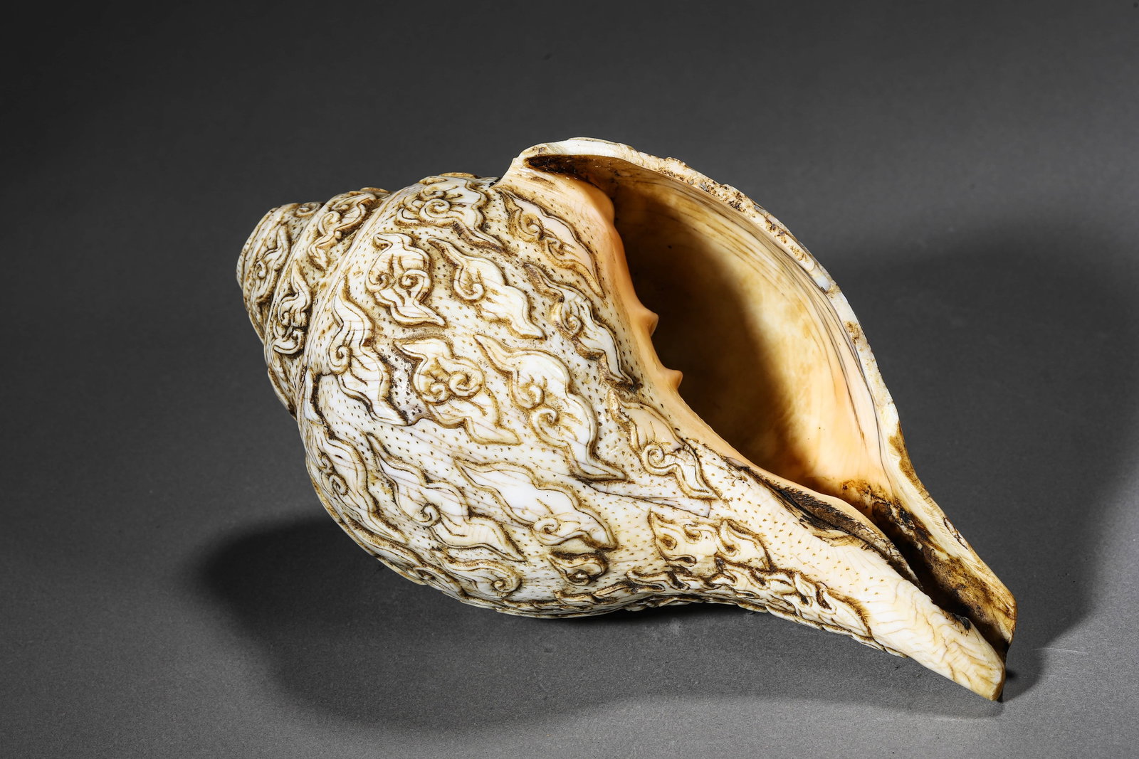 A RELIEF-CARVED CONCH SHELL - 7