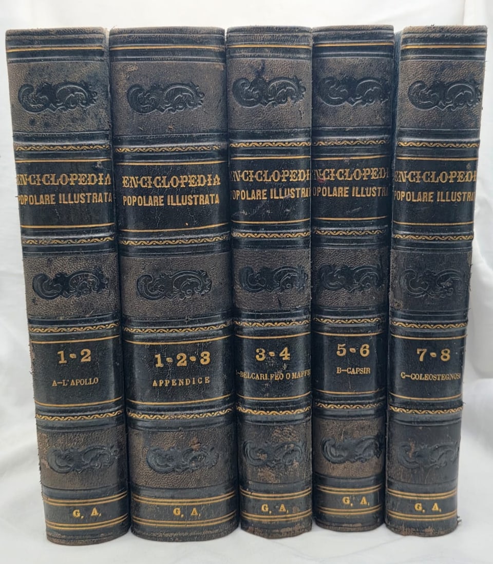 Enciclopedia Popolare Illustrata - 20 Volumes Complete Set Edited by Francesco Sabatini, Rome 1886 (1 of 8)