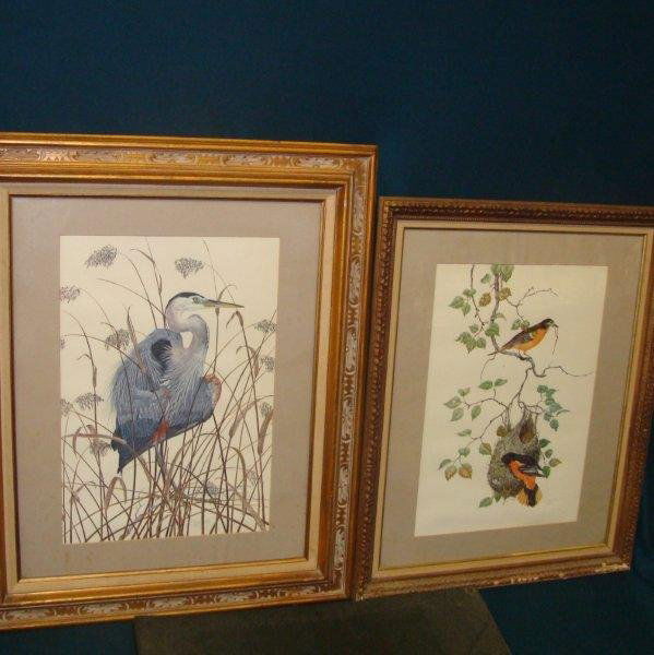 5 Listed Artist Color Lithographs by Robin Hill,: Listed Artist Color Lithographs by Robin Hill, 5pc Lot of Birds comprising: Heron, Oriole, Woodpecker, Wood Duck & a Long Eared Owl. 27 x 20.25" Auction Estimate $200-400.