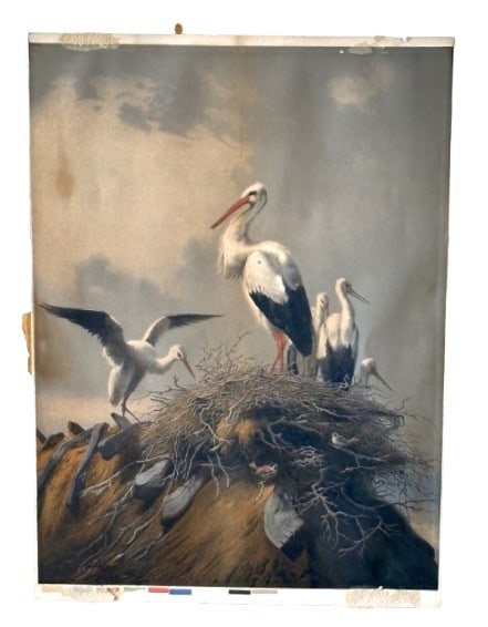 Albert B Walis 'Nesting Storks' Print - 3