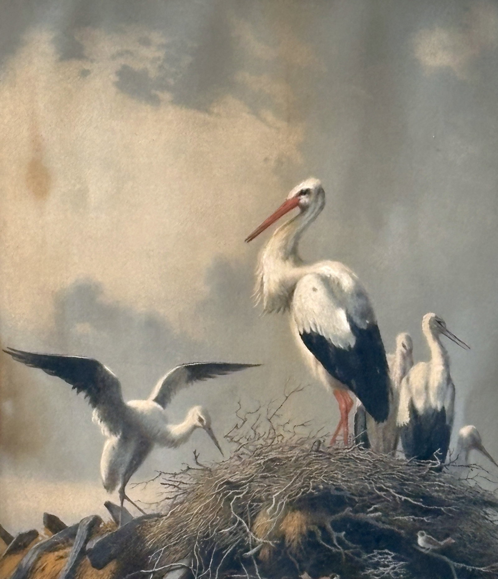 Albert B Walis 'Nesting Storks' Print - 4