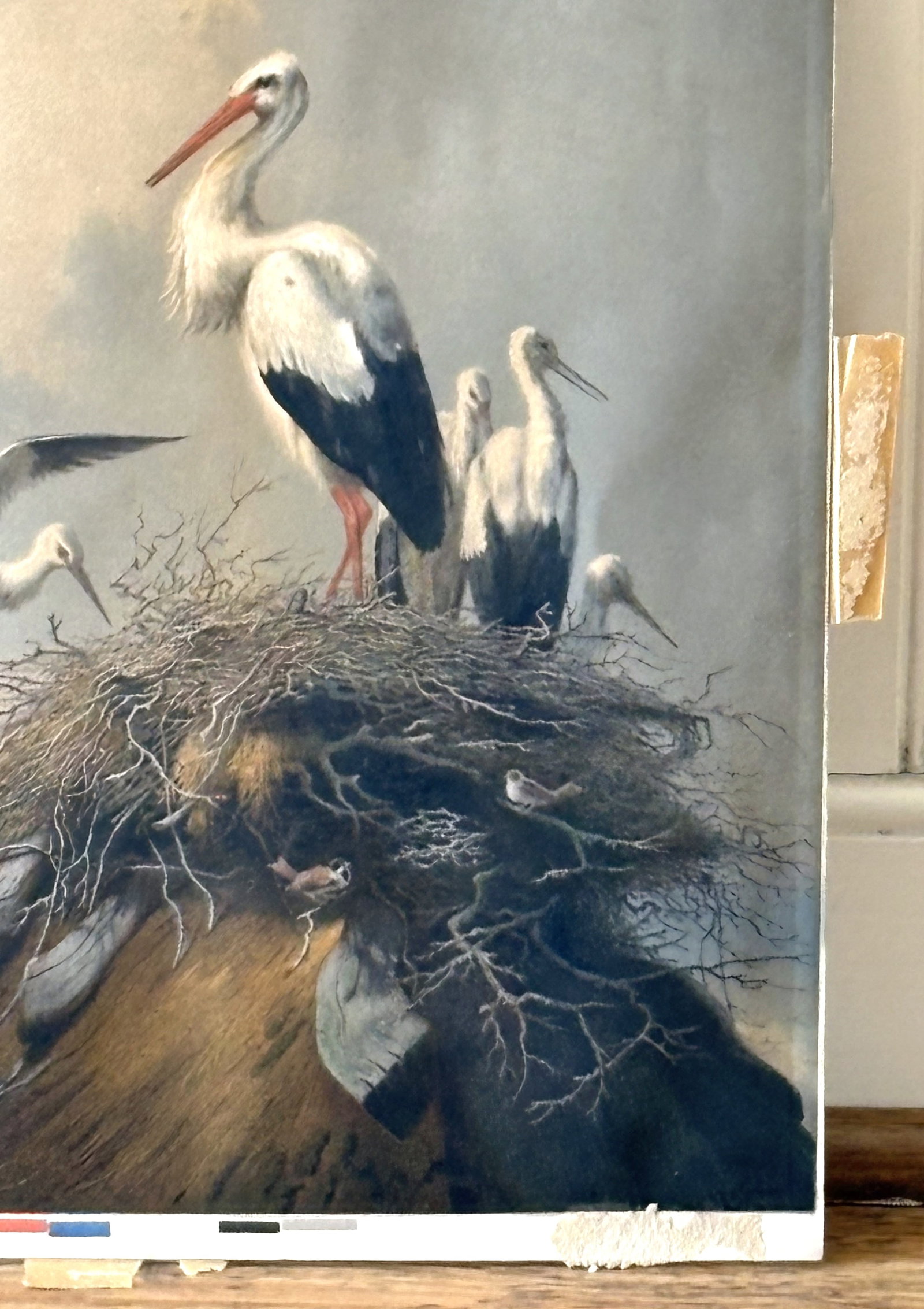 Albert B Walis 'Nesting Storks' Print - 7