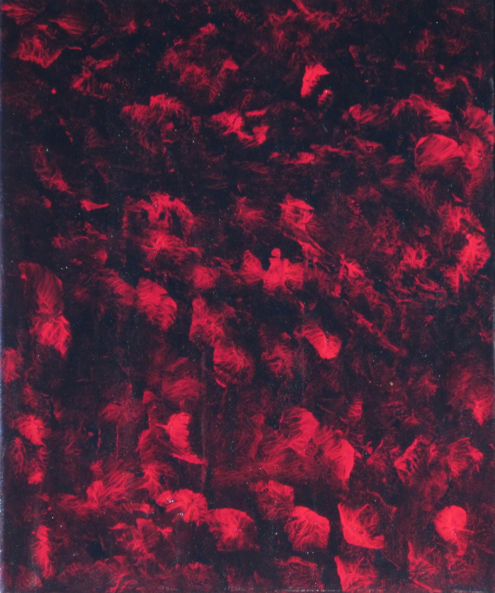 Crimson Echoes: Original abstract acrylic painting on canvas featuring deep black tones with vivid crimson textures. The layered surface creates a dramatic, mysterious composition with a strong sense of movement and