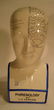 Porcelain head "Phrenology" - medically charted brain