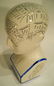 Porcelain head "Phrenology" - medically charted brain - 2