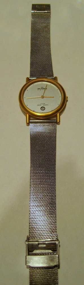 Skagen swiss men's wrist watch: Skagen swiss men's wrist watch. Stainless band.