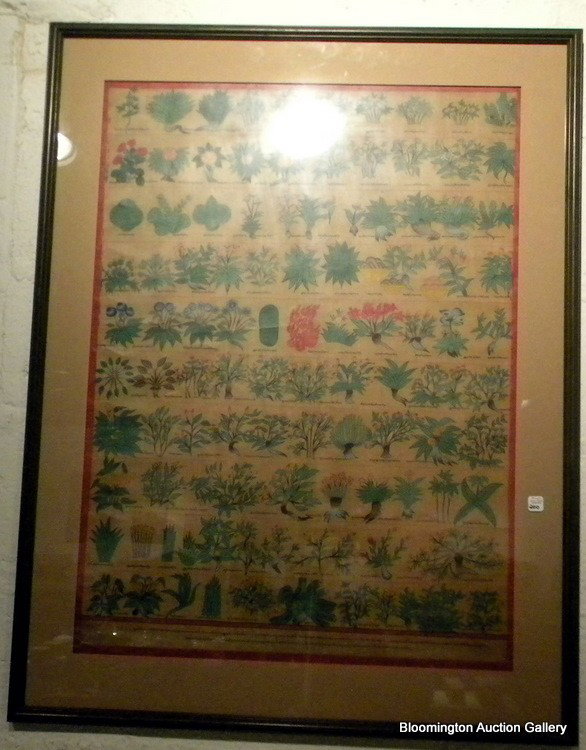 Framed Botanical Painting from Upper Nepal: Framed Botanical Painting Purchased from Mustang in upper Nepal, 37.5" X 28.75" overall.