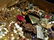 Lg Lot of Costume Jewelry, w/ Designer Pcs - 3