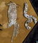 18 Pcs Vintage Costume Jewelry: 18 Brooches/2Pr Earring - 3