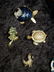 18 Pcs Vintage Costume Jewelry: 18 Brooches/2Pr Earring - 4
