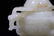 A CARVED WHITE JADE CENSER AND COVER , QING DYNASTY - 7