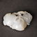 A CARVED WHITE JADE 'PEACH' GROUP ,QING DYNASTY - 3