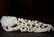 A CARVED WHITE JADE RUYI SCEPTER ,QING DYNASTY - 3