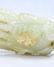 A CARVED WHITE JADE FINGERED CITRON.QING PERIOD - 4