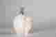 item-106206969=3