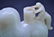 112: A WHITE JADE MONKEY AND HORSE GROUP. (QING DYNAST - 4