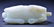 112: A WHITE JADE MONKEY AND HORSE GROUP. (QING DYNAST - 5