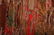 A YELLOW SILK IMPERIAL COURT NINE-DRAGONS ROBE - 10