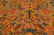 A YELLOW SILK IMPERIAL COURT NINE-DRAGONS ROBE - 6