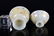 A GILTED WHITE JADE TEA BOWL AND COVER - 4