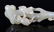 A CARVED WHITE JADE RUYI SCEPTER - 2