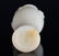 A WHITE JADE CARVONG OF DRAGON VASE - 6