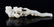A CARVED WHITE JADE RUYI SCEPTER