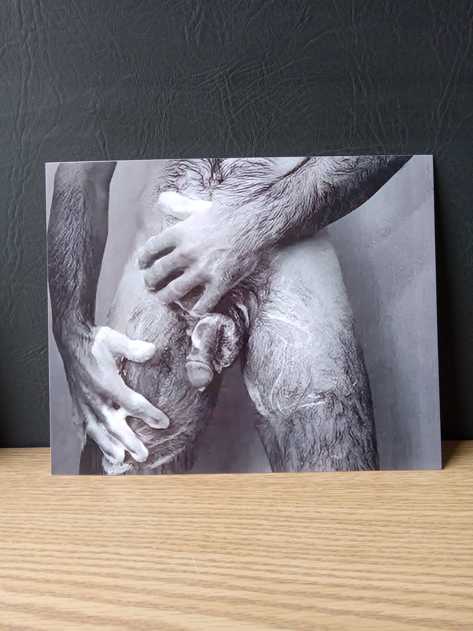 Peter Lik "Untitled" Print Sold After: Peter Lik "Untitled" Print - Verso is blank, Measures 8 x 10 Inches. These items are part of an estate sale and we are a consignment based Auction House. All auction lots are sold strictly "AS IS." An