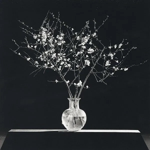 Robert Mapplethorpe "Flowers" Print Sold After (1 of 1)