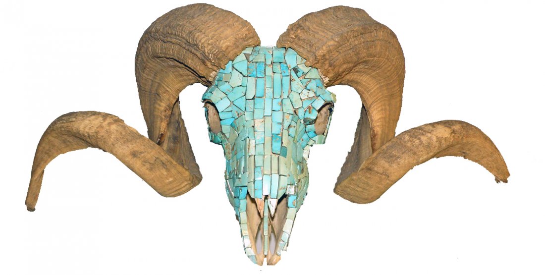 BIG HORN SHEEP SKULL COVERED WITH TURQUOISE: Nicely Southwestern decorative piece. 22" wide