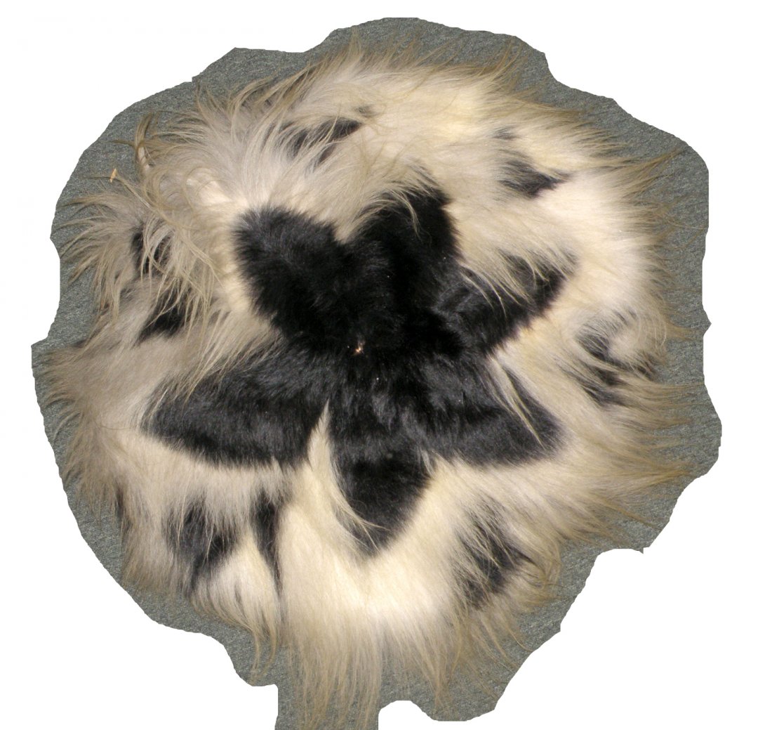 SPIDER MONKEY PELT WITH PROVENANCE: Collected by the late Baroness Leona Bothmer. Mounted in the round and stapled to wood board. Some separation to skin. 29" diameter