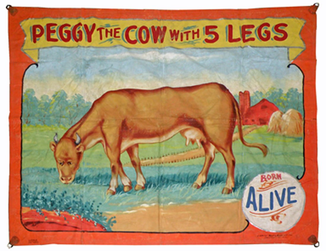 PEGGY THE COW WITH FIVE LEGS BY FRED JOHNSON: Used by Harmur Side Show banner. Depicts five legged cow in a pasture. Shows some use wear. Repair on the fold. 118" wide x 96" tall