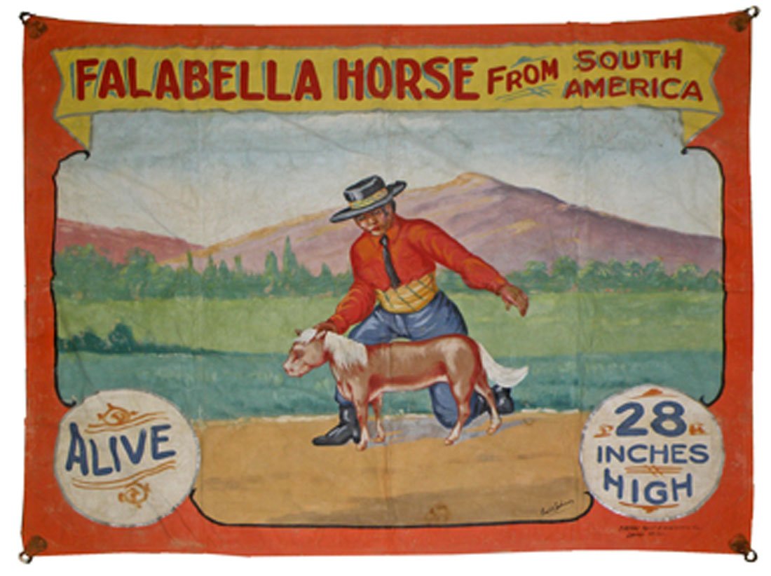 FRED JOHNSON FALABELLA HORSE FROM SOUTH AMERICA: Image of Gaucho with miniature horse, promoted as 28" tall. Light use wear. 96" x 116"
