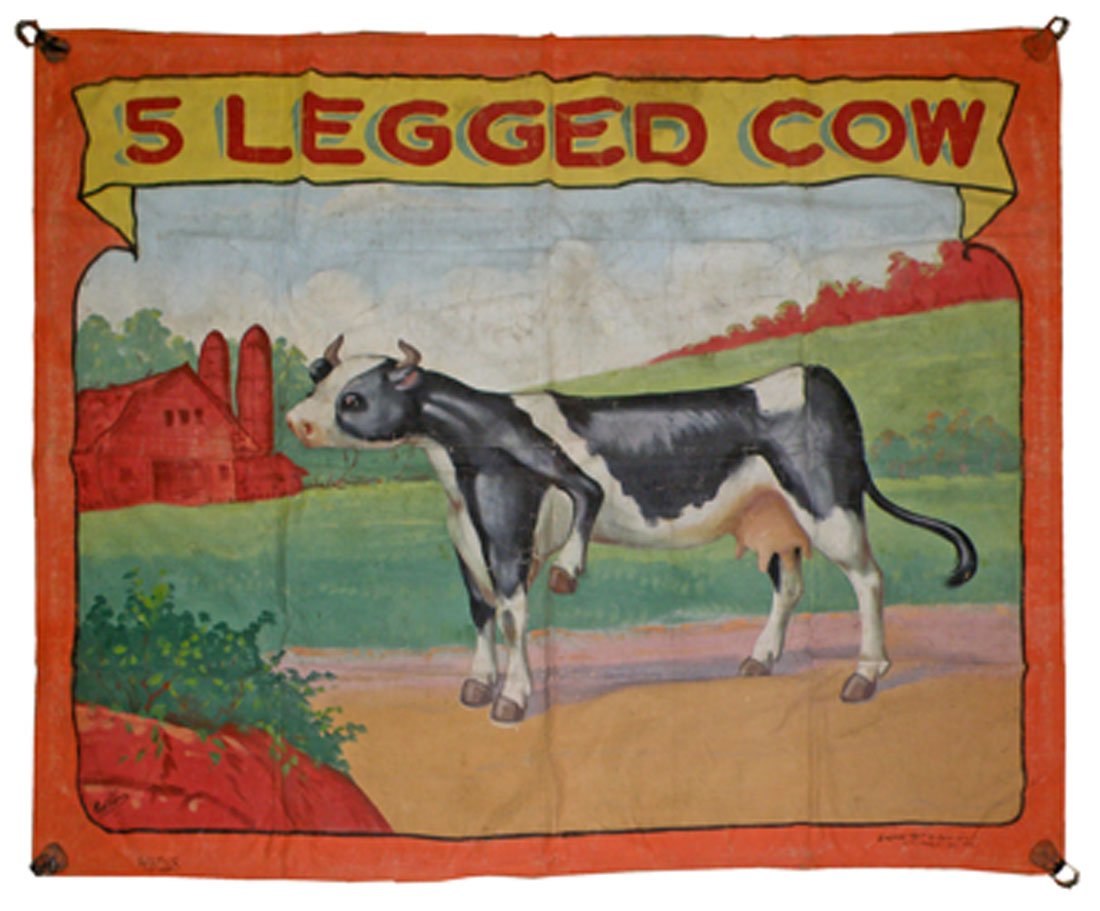 FIVE LEGGED COW BY FRED JOHNSON: Shows image of black and white Holstein. Used by Harmer side show. Has some use wear. 112" x 92"