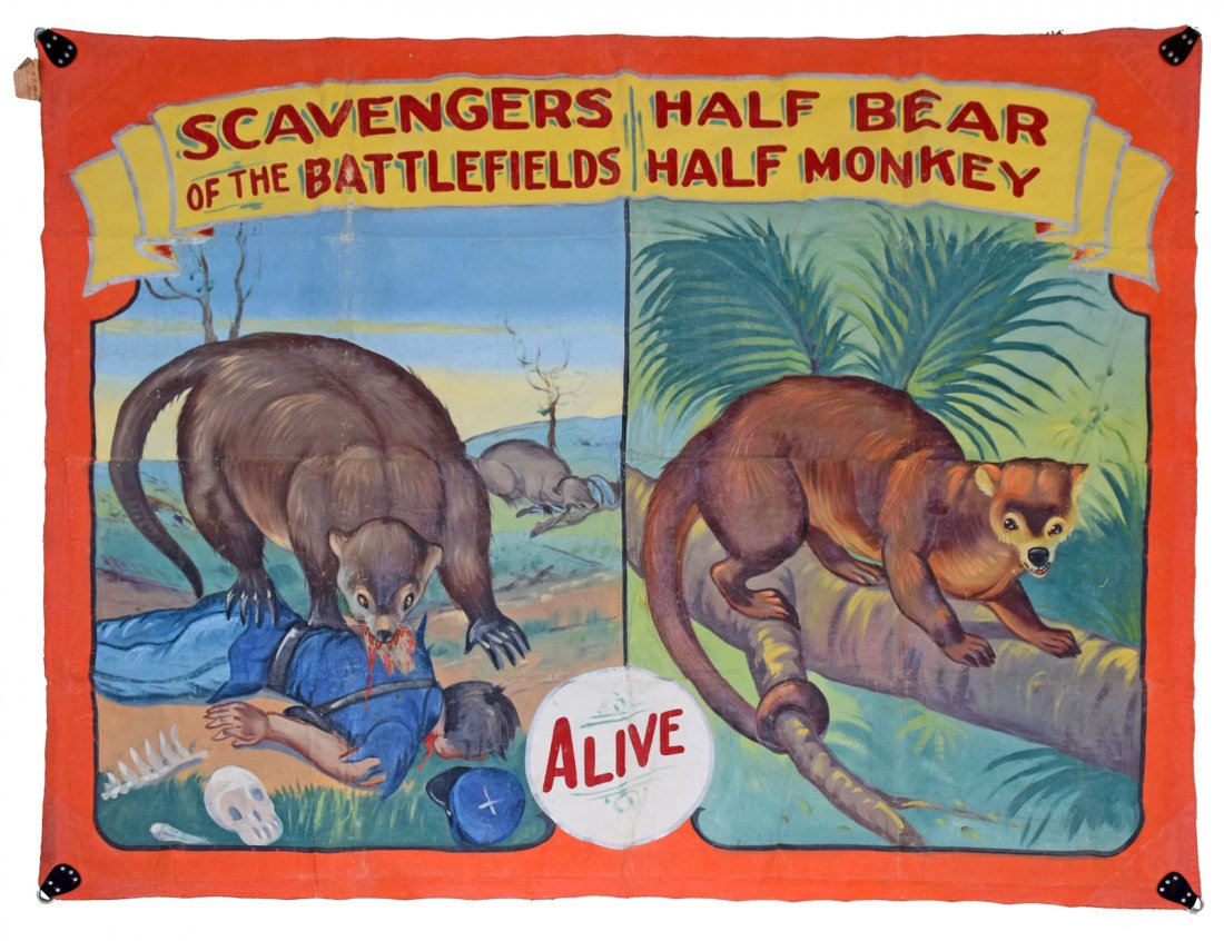 SCAVENGERS OF THE BATTLEFIELD BANNER (1 of 2)